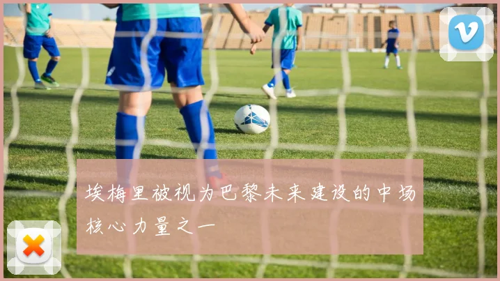 埃梅里被视为巴黎未来建设的中场核心力量之一