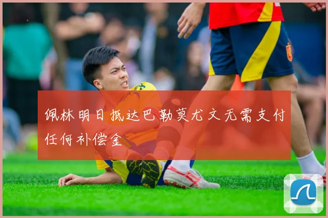 佩林明日抵达巴勒莫尤文无需支付任何补偿金
